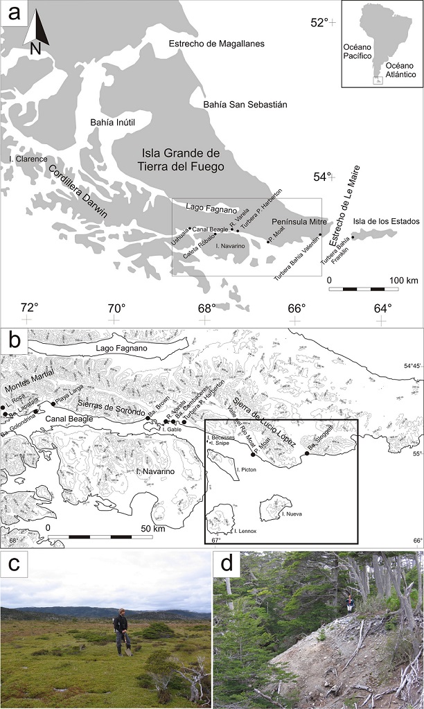 fig.1