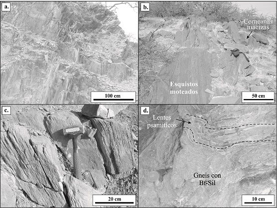 fig.2