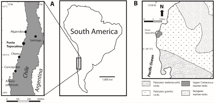 fig.1