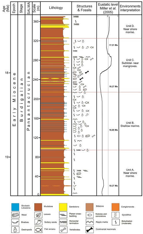 fig.3