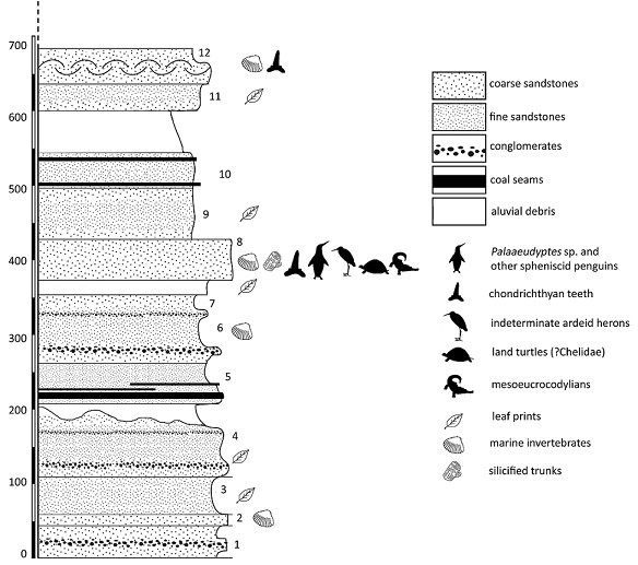 fig.2