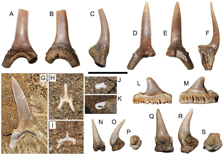 fig.3