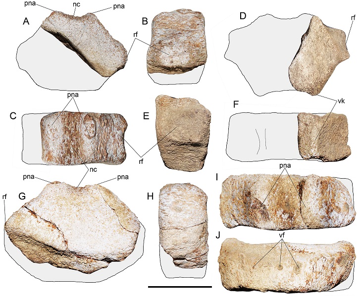 fig.3