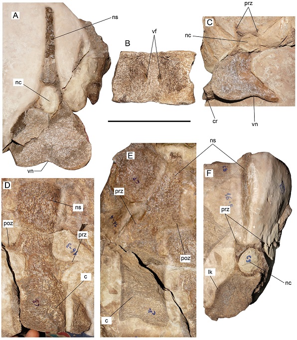 fig.6