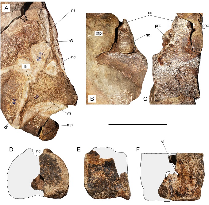 fig.7