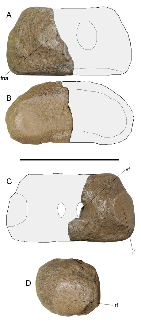 fig.9