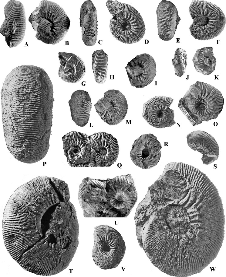 fig.5