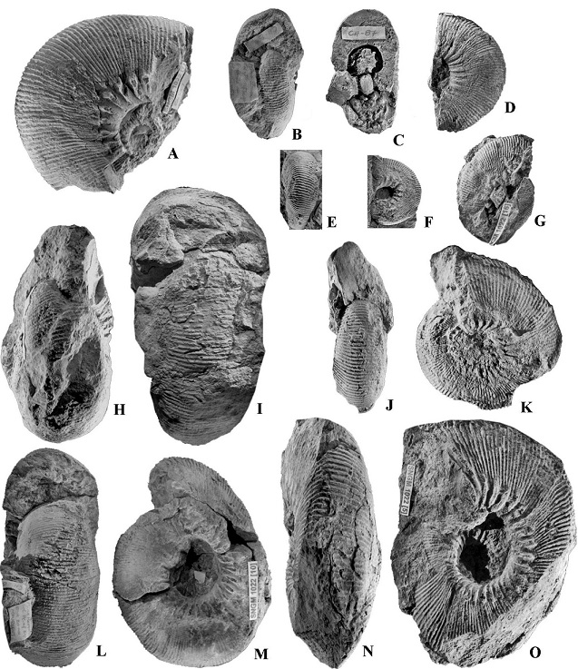 fig.6