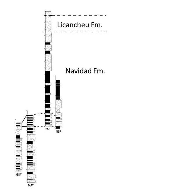 fig.2