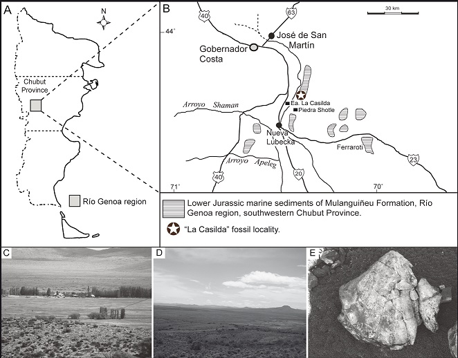 fig.1