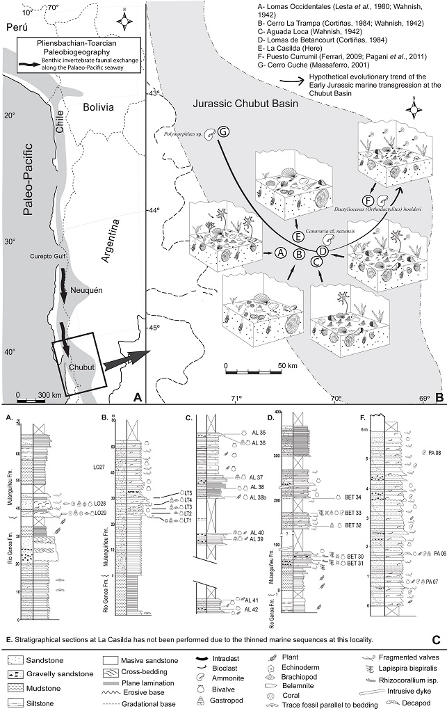 fig.4