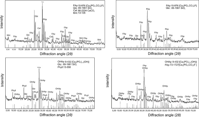 fig.6