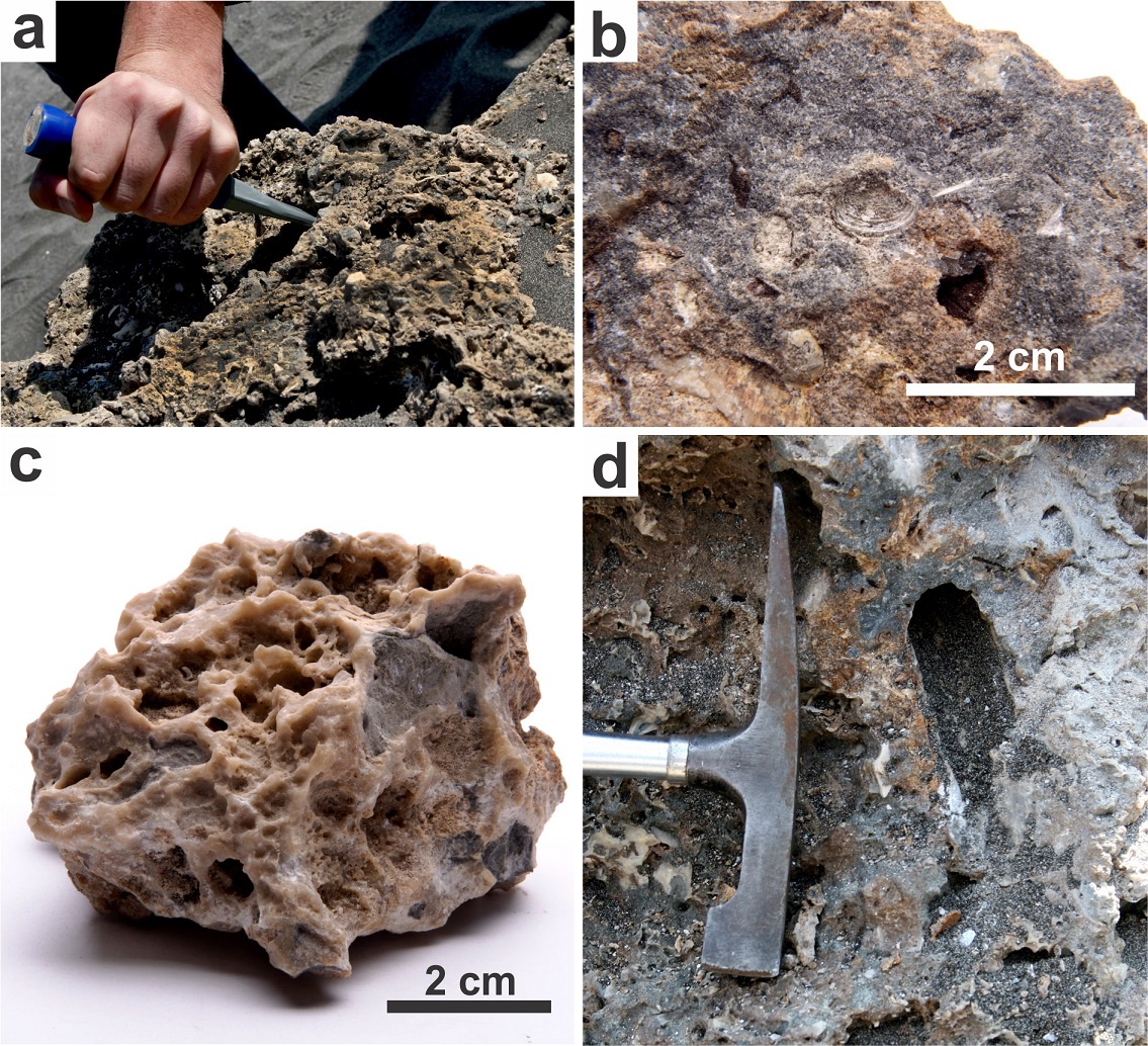 fig.3