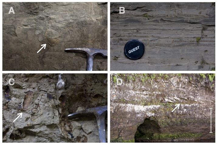 fig.7