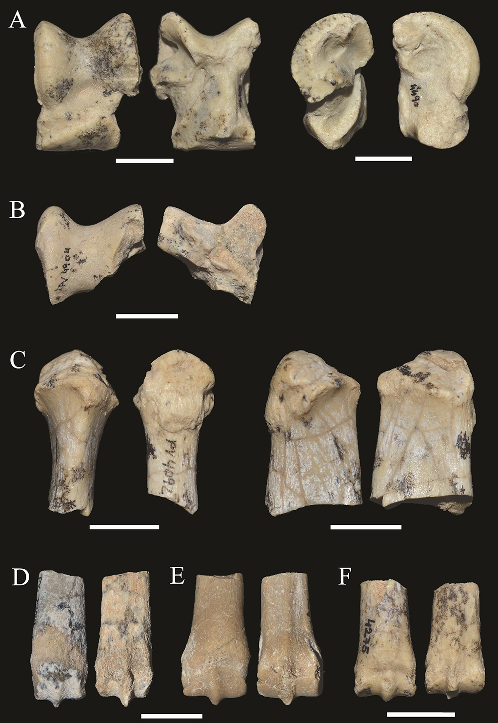 fig.2