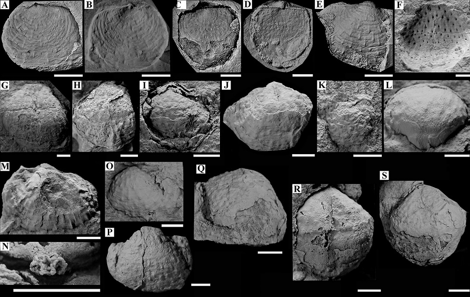 fig.8