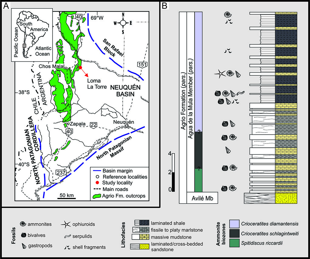 fig.1