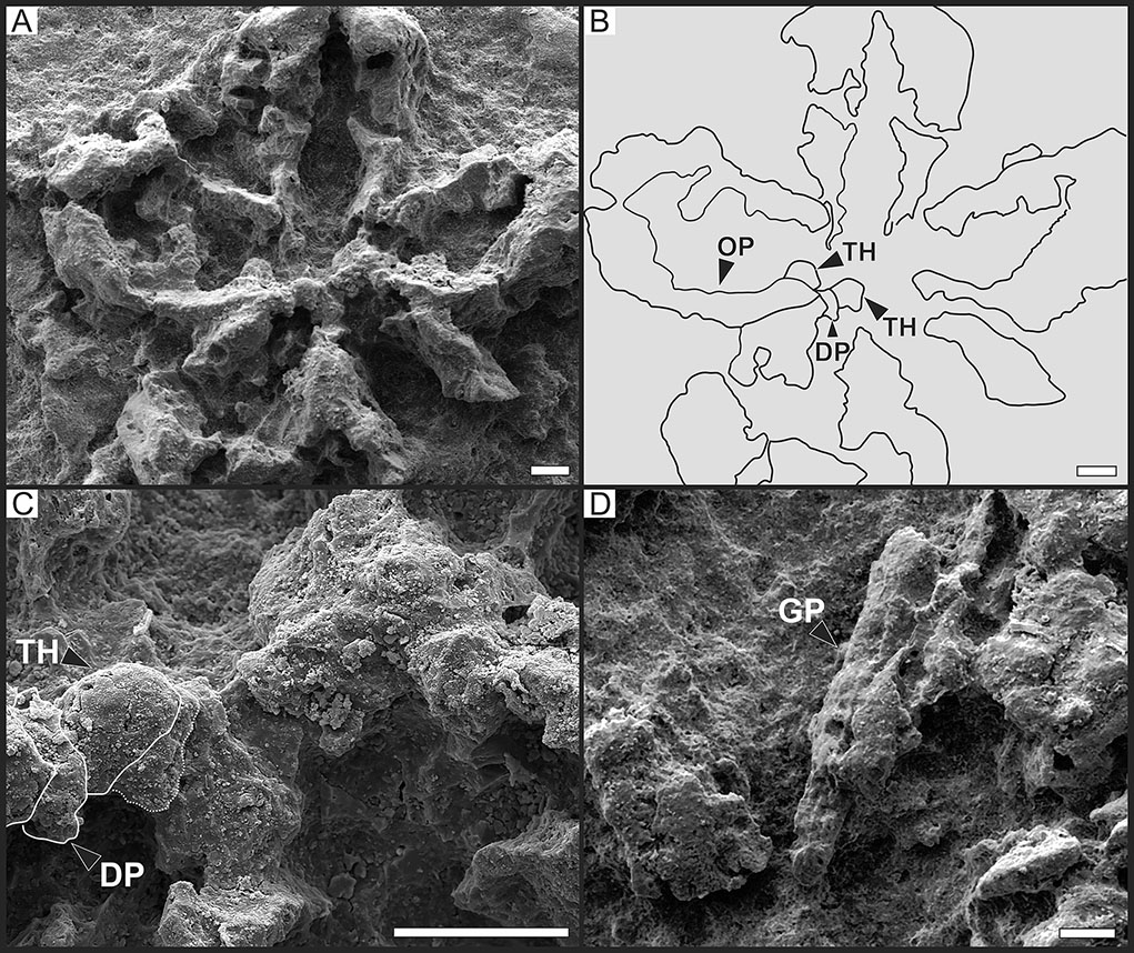 fig.3