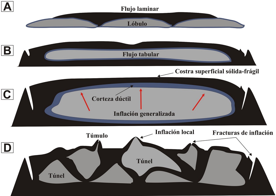 fig.24