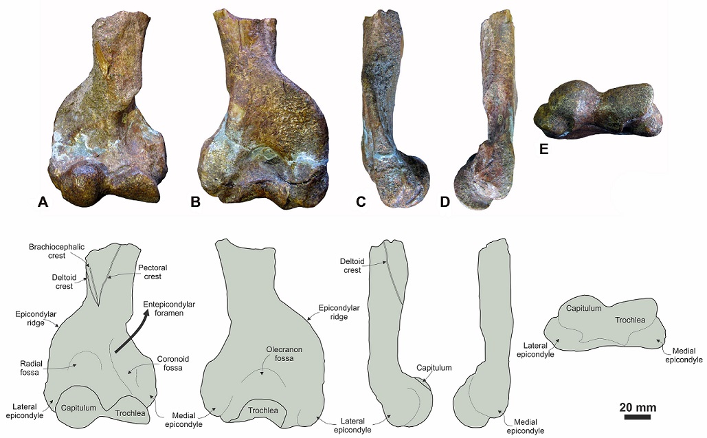 fig.2