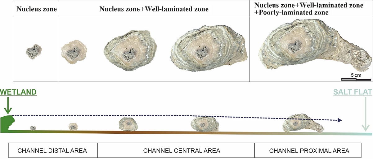 fig.6