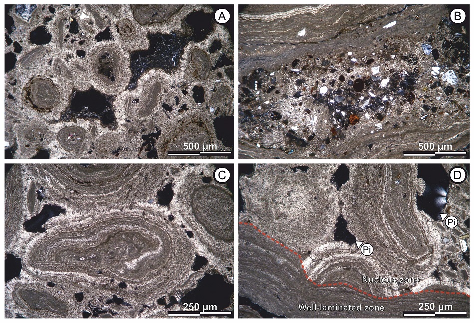 fig.8