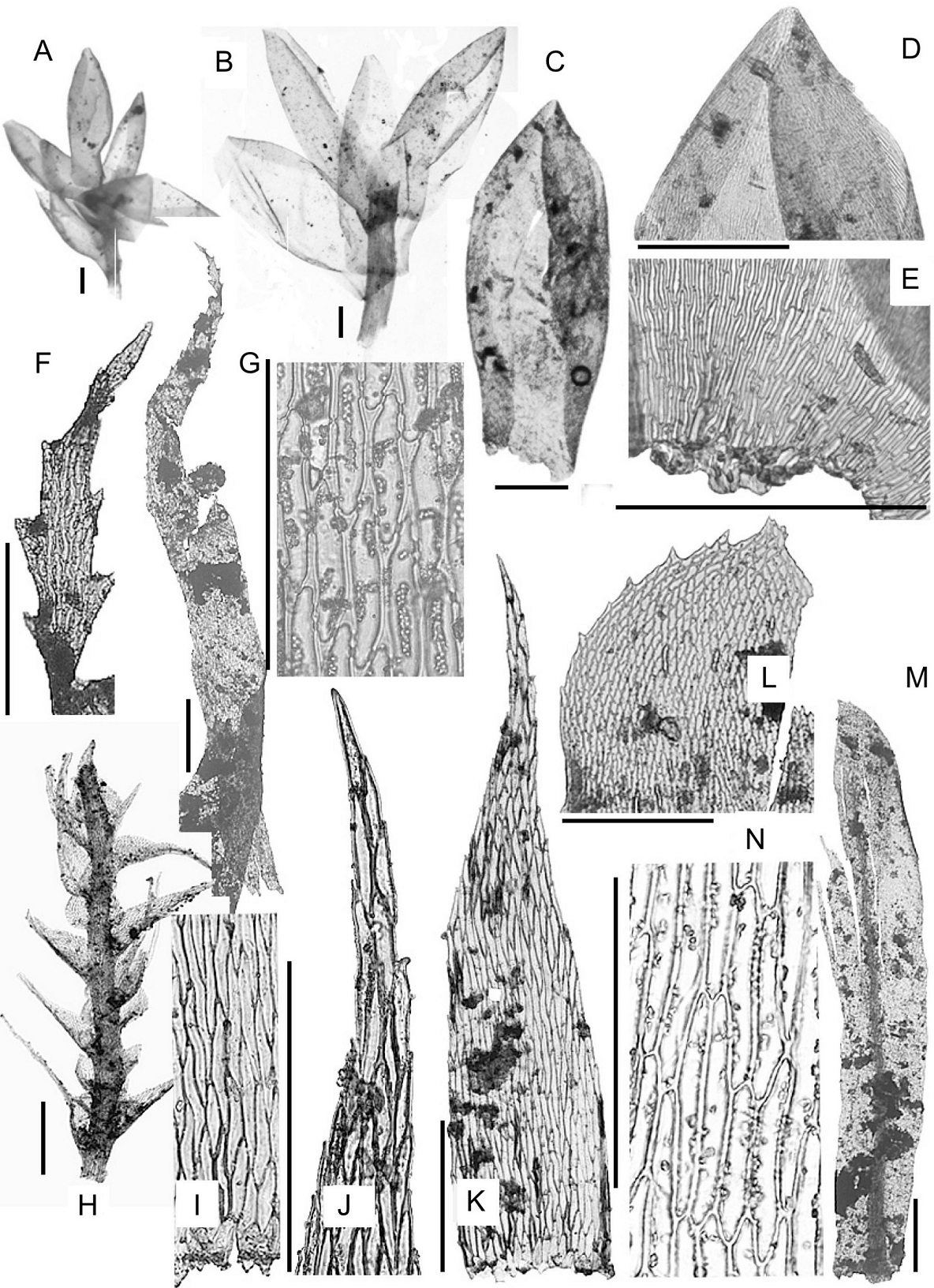 fig.6