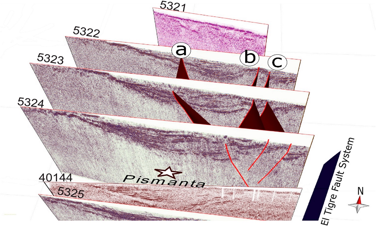 fig.7