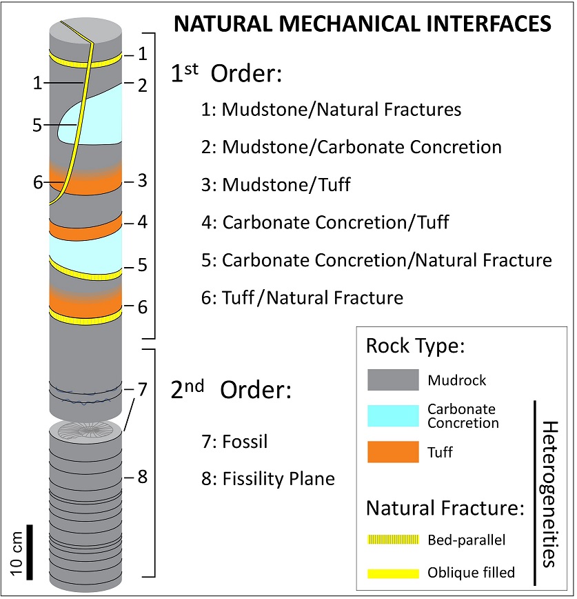 fig.1