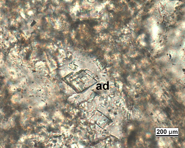 fig.6