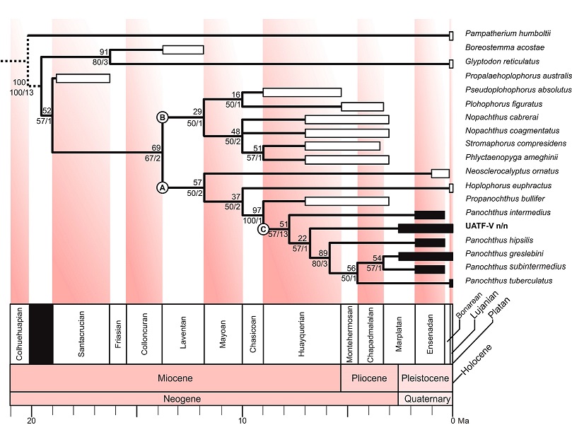 fig.4