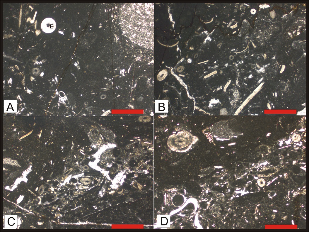 fig.4