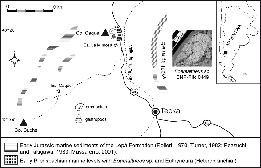 fig.1