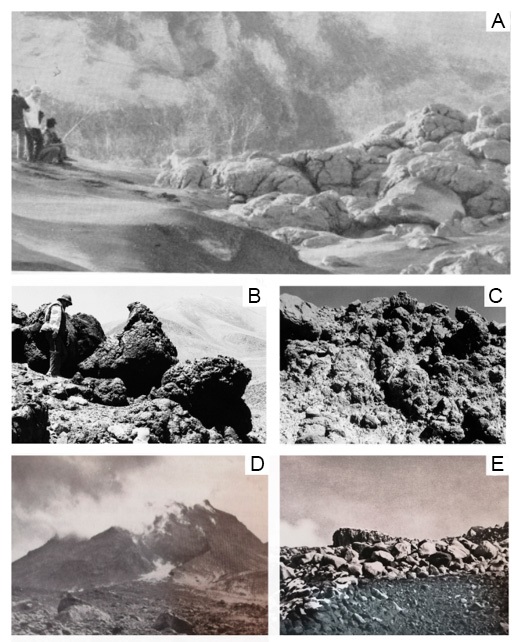 fig.1