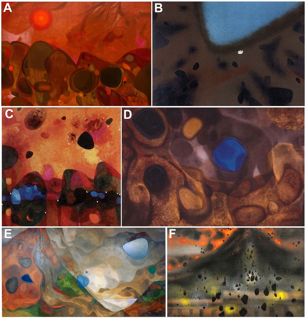 fig.6
