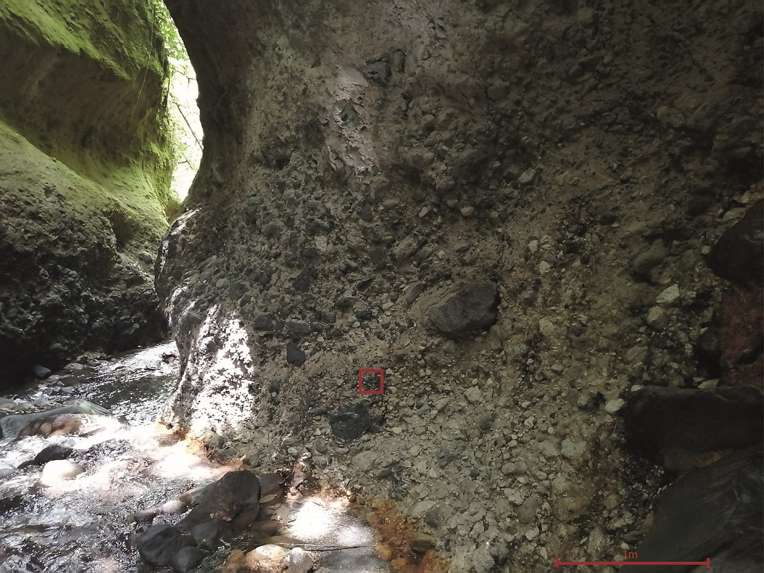 fig.10