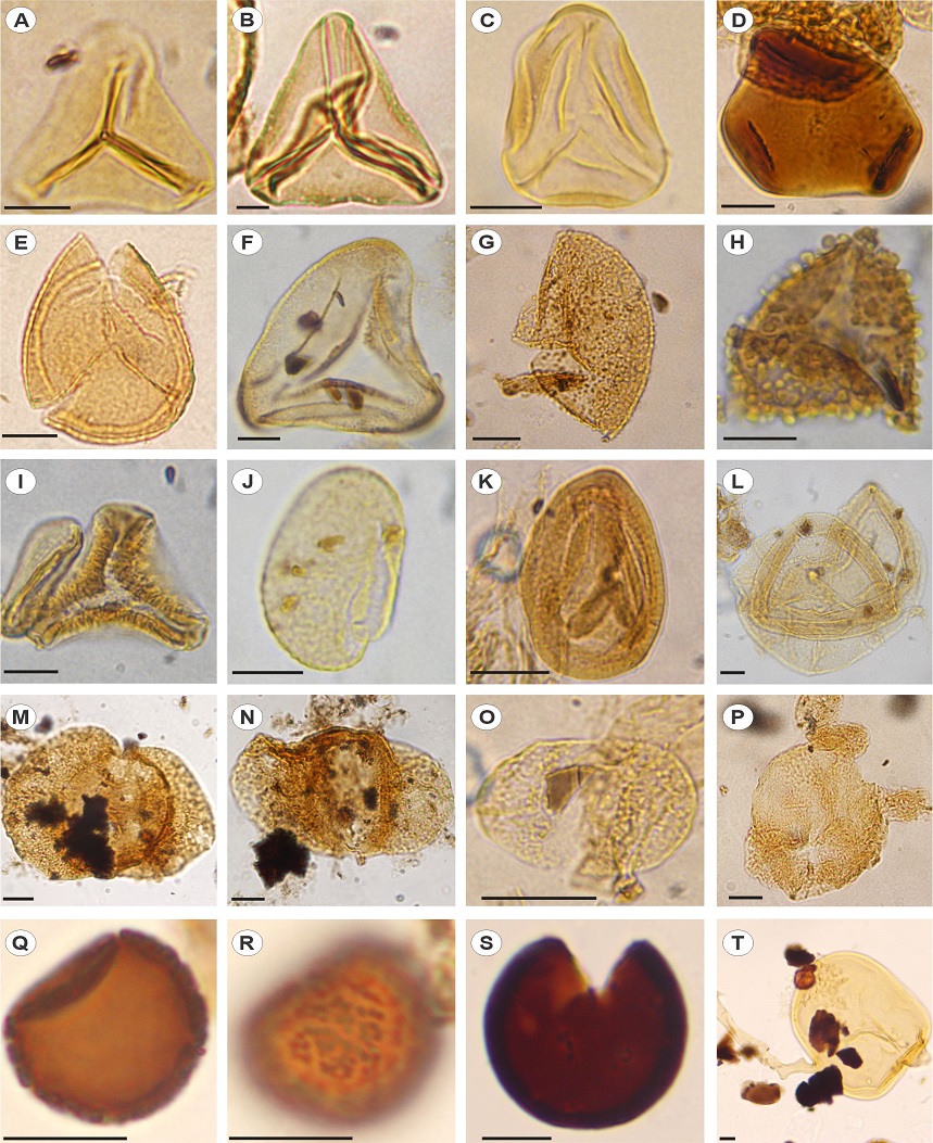 fig.11