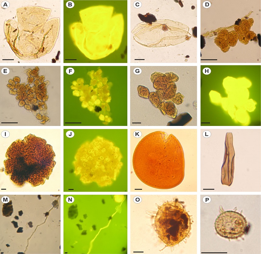 fig.12
