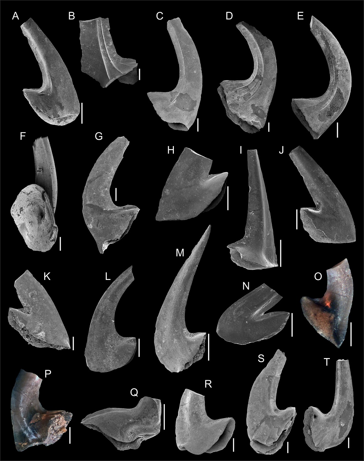 fig.3