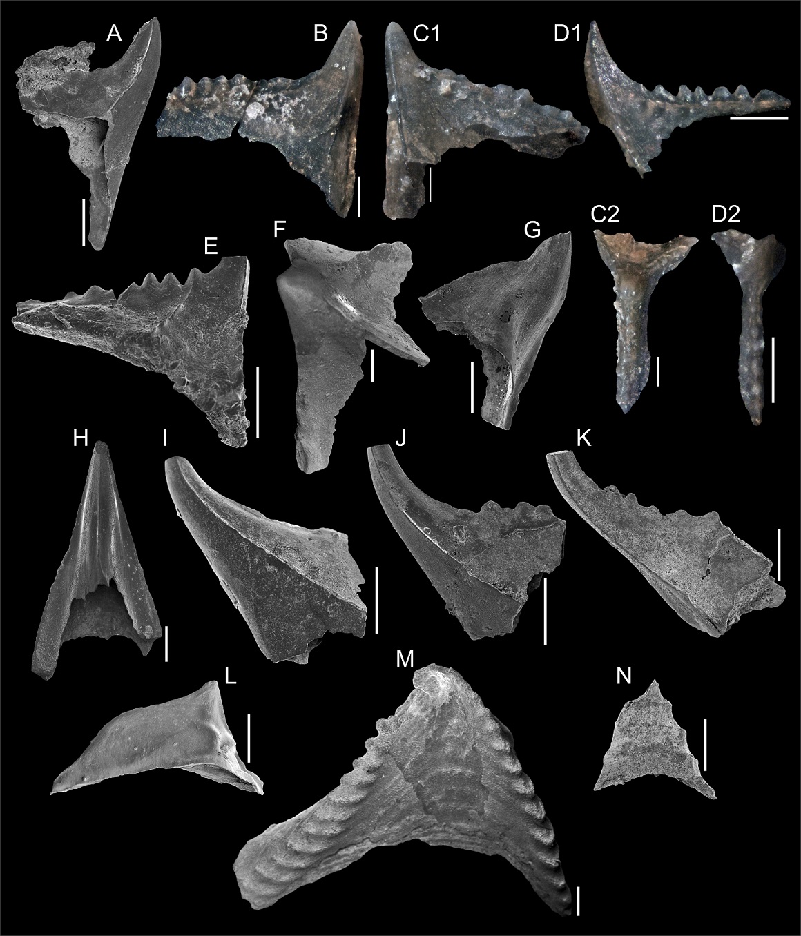 fig.4