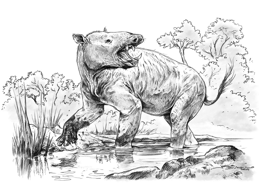 fig.6
