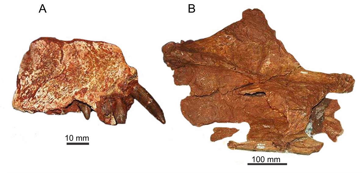 fig.9